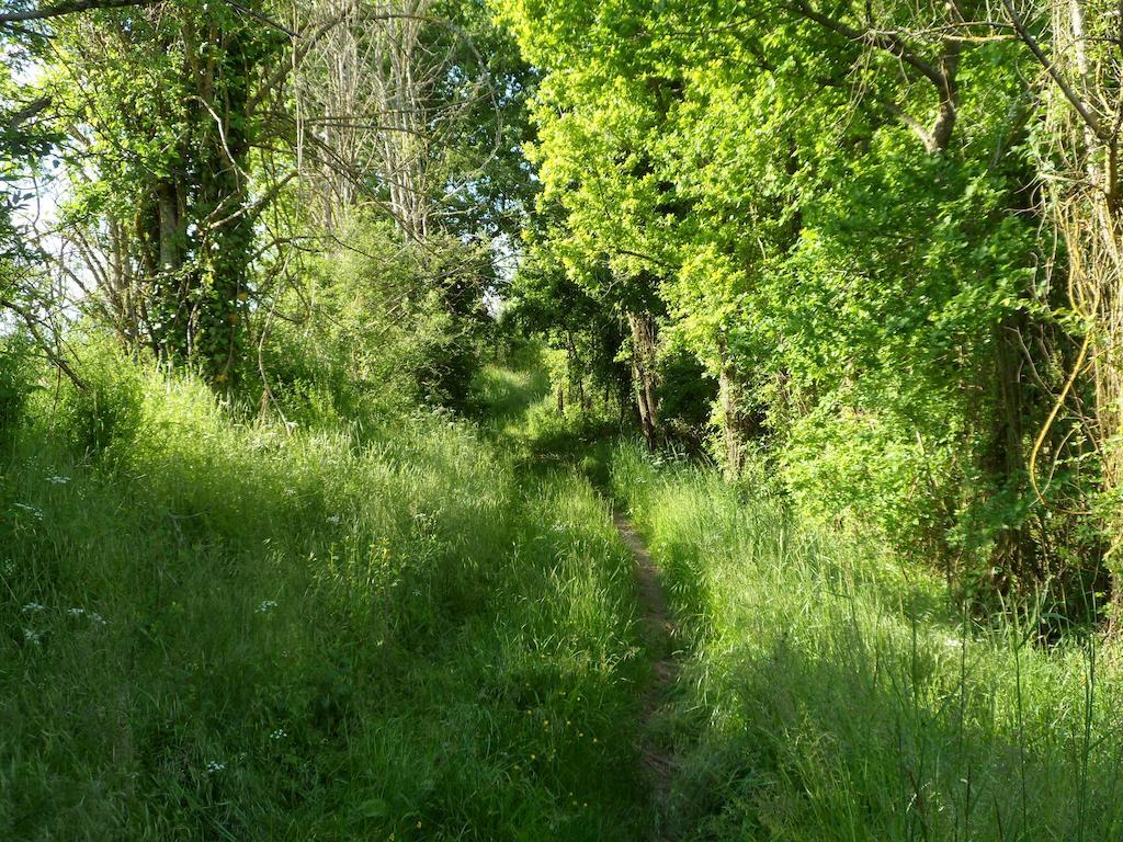 La Cle Des Chants Tauxigny エクステリア 写真